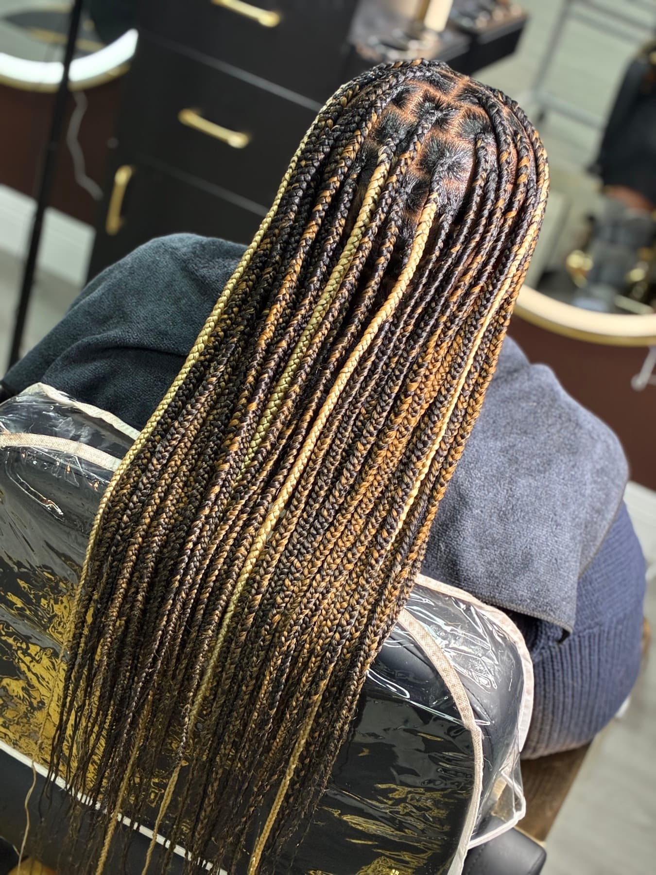 Long braids with warm blonde highlights